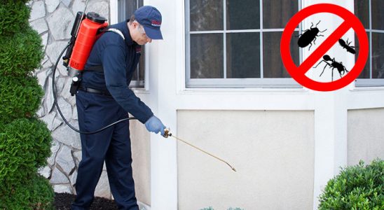 Kadınhanı Akrep İlaçlama böcek ilaçlama ve haşere kontrolü — ilaclama-tr.com
